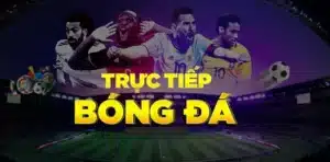 Bongdawap mang đến nhiều tiện ích hàng đầu cho mọi bet thủ